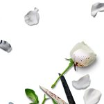 Norwegian Crime Thriller eBook by Jentas - Bokmål Edition-0