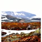 Norwegian Fiction e-artnow Kindle eBook - 116 Pages Enhanced-0